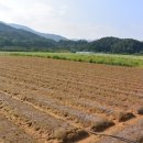 대식농장 이미지