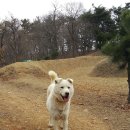 자룡농장 이미지