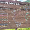 휠링민박 이미지