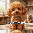 RE:10월 18일 사당역 스마트폰 활용과 기초 AI 배우기 오시는 분들께 이미지