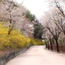 한반도지형 주차장 화장실 이미지