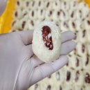 밀양아리랑시장 이미지