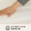 디자인비아 이미지