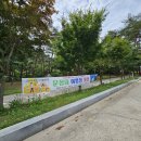 시어동 캠핑장 이미지