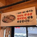 도도한암퇘지 이미지