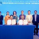 홍도식품 이미지