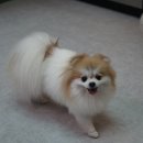 미니주동물병원 이미지