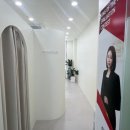 모피움청담