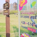 국제문화교류관 야외정원 이미지