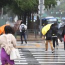 나원3리 이미지