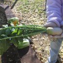 마차초등학교병설유치원 이미지