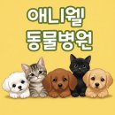 애니웰 동물병원 네이버블로그