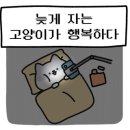 구암갈비 네이버블로그