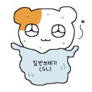 와플대학 양천구청캠퍼스 이미지