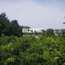 하우스코너공인중개사사무소 이미지