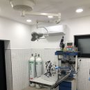 디디동물병원 이미지