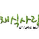 비건 15년차가 알려주는 채식사이트 추천 리스트!