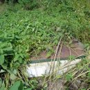 한반도면-2 이미지