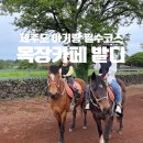 돌담목장 | 제주도 아기랑 필수코스 목장카페 밭디 승마체험