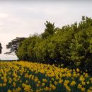 버덩목장 이미지