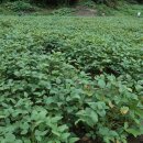 민기농장 이미지