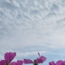 봉천 경로당 이미지