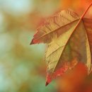 디자인LYD