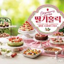 홀릭영 이미지