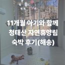 청태산휴양림 | 11개월 아기랑 청태산자연휴양림 숙박 후기: 예약 방법 및 필수 준비물 총정리(해송)