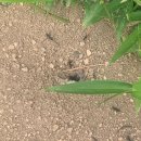 (주)티제이팜 | [일상] Jun.25 ~ Jul.1