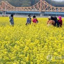 낙동강변16 이미지