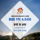 달성공인중개사사무소 이미지