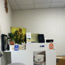 새마을로1R-44 | 아이폰 배터리 교체 후기ㅣ30분만에 66%에서 100%로 돌아왔어요ㅣ세이프픽스 상도점