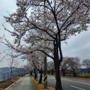 낙동강변로3-3 이미지