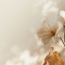 나를위한산부인과의원 이미지