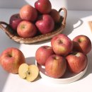 북안동농협 이미지