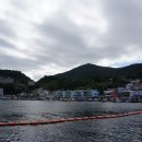 관문공판장 이미지