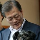 문토리 이미지