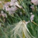 승자농장 이미지