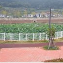 용해지구로 이미지