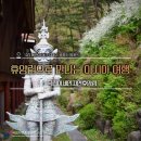 [공지] 휴양림으로 만나는 아시아여행, 국립아세안자연휴양림
