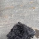 홍일영카클리닉 이미지