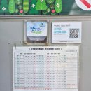 소나테크 | 서귀포자연휴양림 방문후기-노루와함께