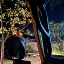 마켓바구스 | #5 발리 바투르 지프투어 / 여자 혼자 여행, 가이드 추천, 비용, 코스