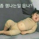 뻐꾸기복사 이미지