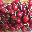 원이농장 이미지