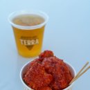 테라푸드 | 부산 영도 맥주축제 리뷰 테라 생맥주와 푸드트럭 후기