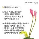 백향 이미지