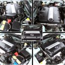 100프로카센타 이미지