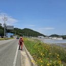 증도 관광안내소 이미지